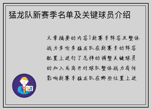 猛龙队新赛季名单及关键球员介绍