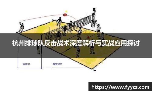 杭州排球队反击战术深度解析与实战应用探讨